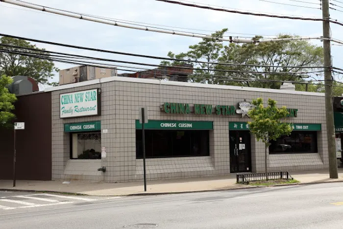 China New Star Picture 6