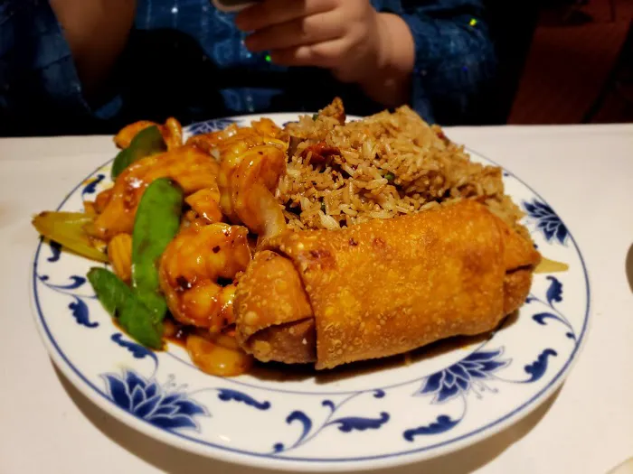 China New Star Picture 2