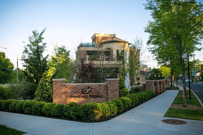 Annadale Terrace Picture 9