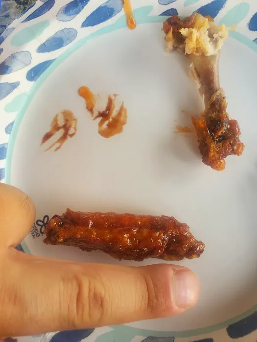 Planet Wings Picture 2