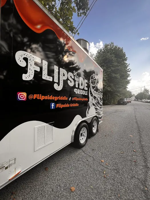 flipside Griddle Picture 1