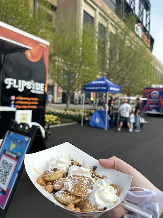 flipside Griddle Picture 9