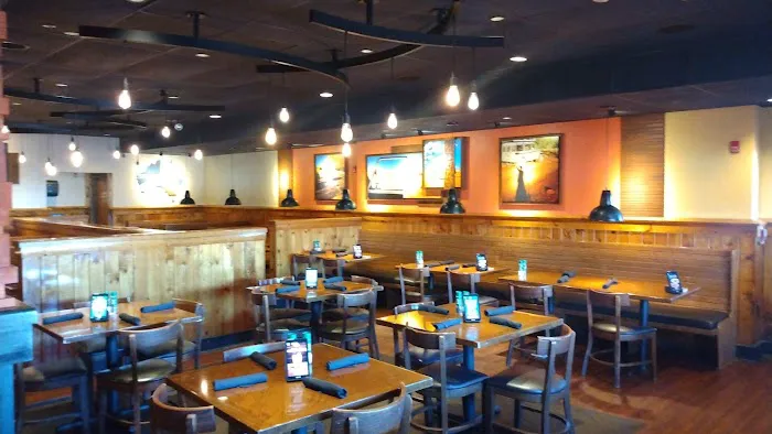 Outback Steakhouse Picture 1