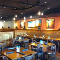 Outback Steakhouse ico