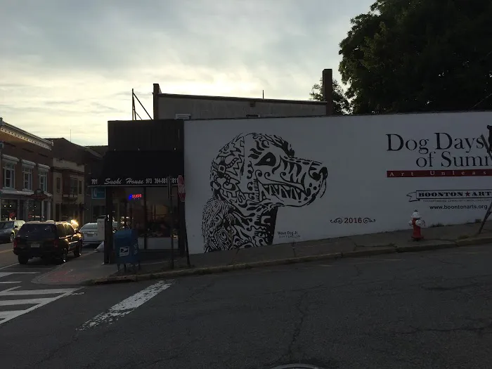 Boonton Sushi House Picture 5