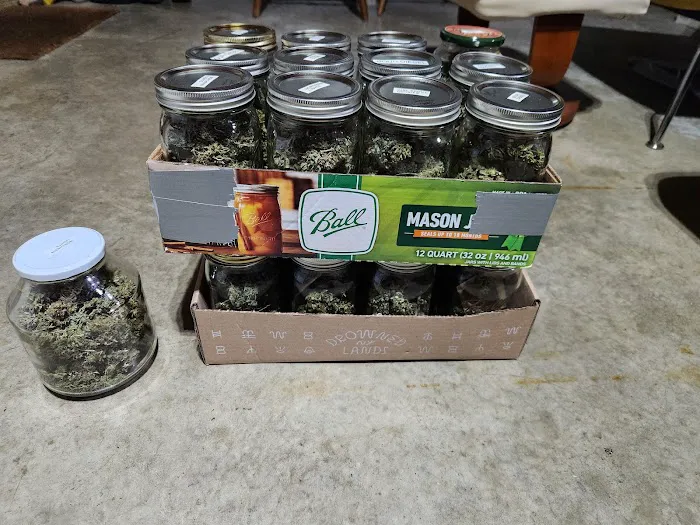 MORE THAN MUNCHIES dispensary Picture 3