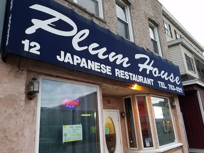 Plum House Japanese Restaurant Picture 2