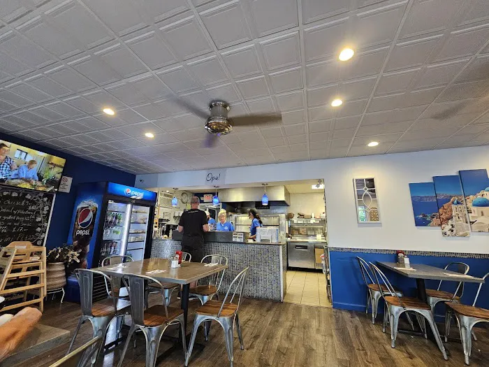 Opa! Greek Grill Picture 5