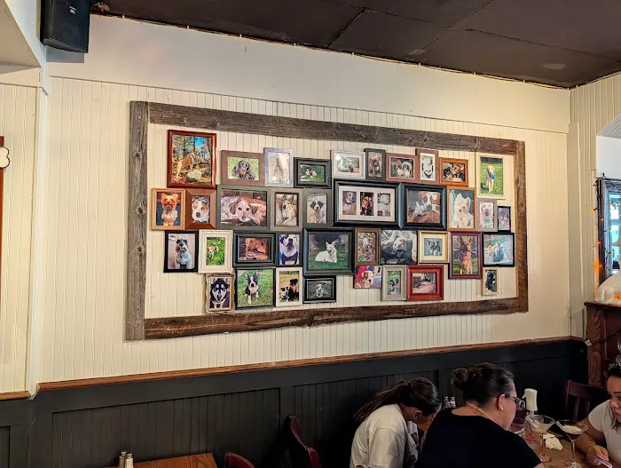 FETCH BAR & GRILL Picture 1