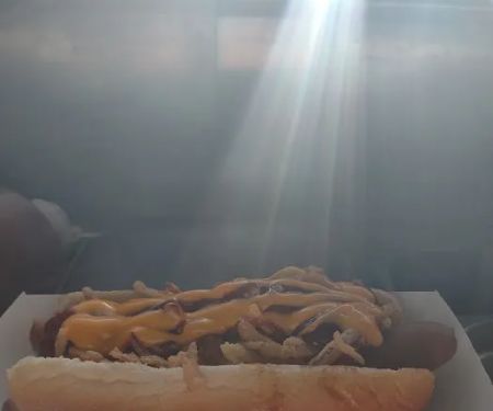 Hot Dogs Gone Wild plus