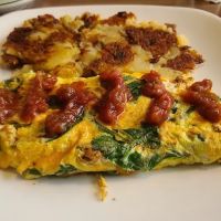 The New Chester Diner Family Restaurant ico