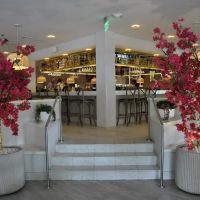 BellaRosa Free Style Italian Restaurant ico