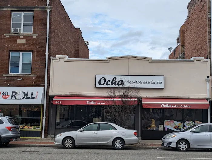 Ocha Asian-Japanese Cuisine Picture 10