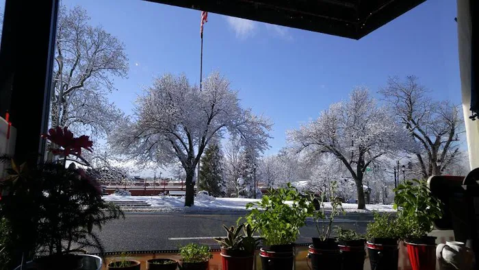 Dave's Delicious Deli Picture 6