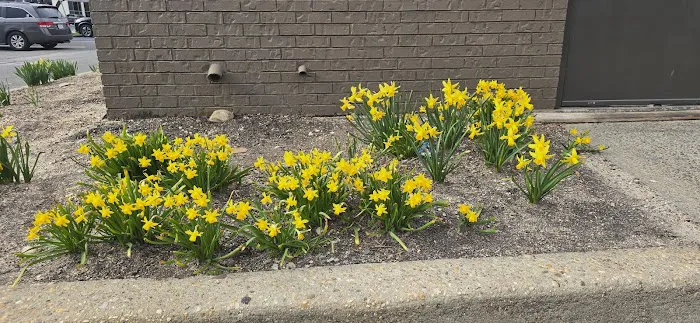 Burger King Picture 3