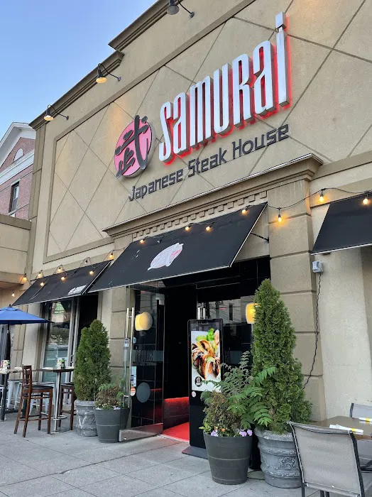 Samurai Hibachi Picture 5