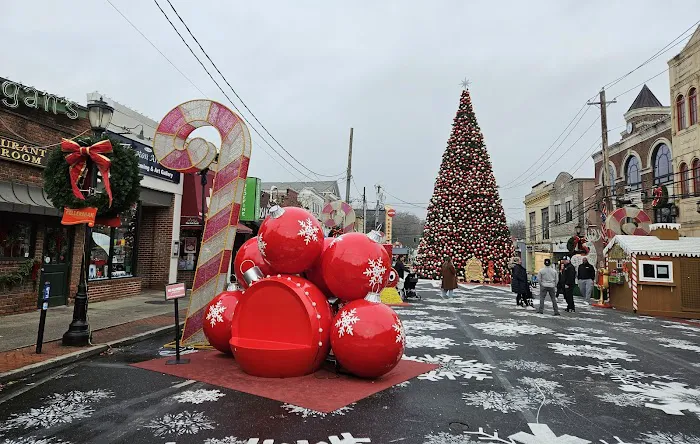 New York Panini Picture 9