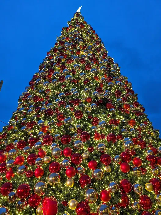 New York Panini Picture 10