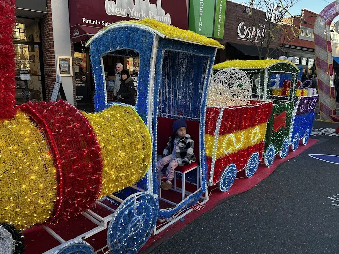 New York Panini Picture 6