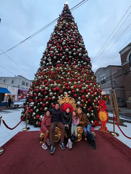 New York Panini Picture 8