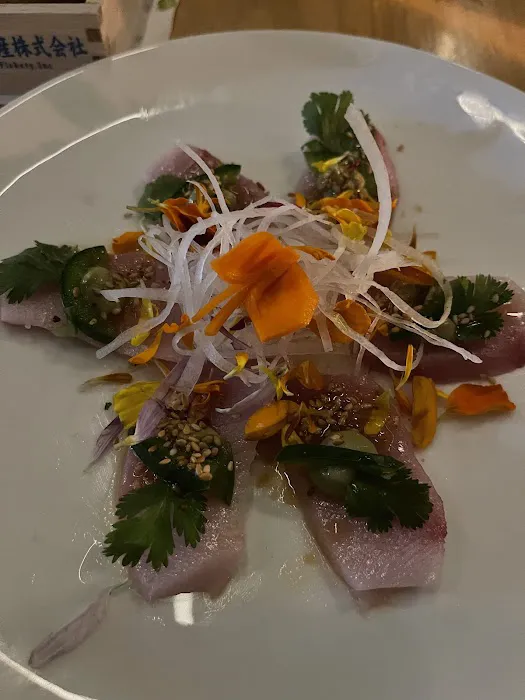 OKO westport Picture 7