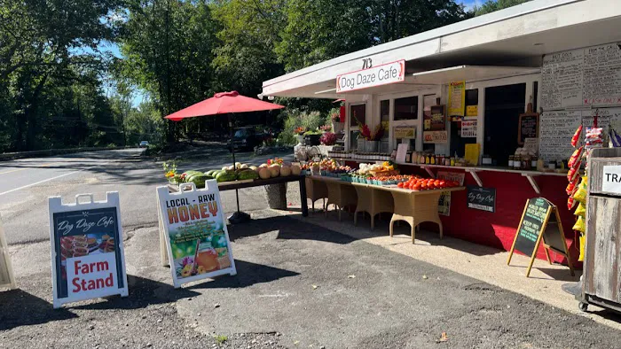 Dog Daze Cafe Picture 10