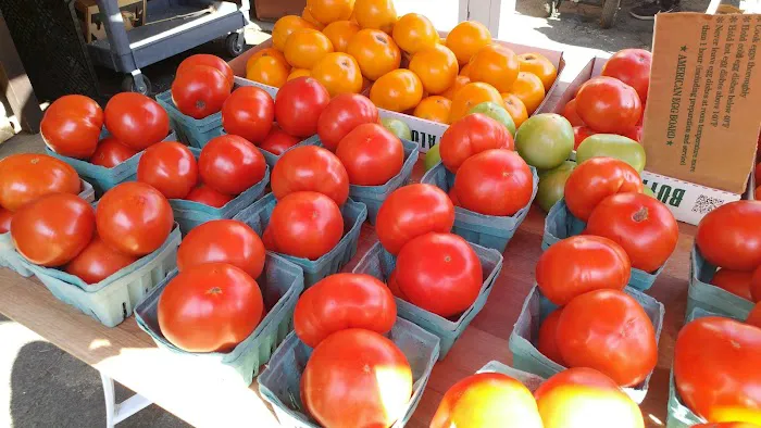 Dog Daze Cafe Picture 2