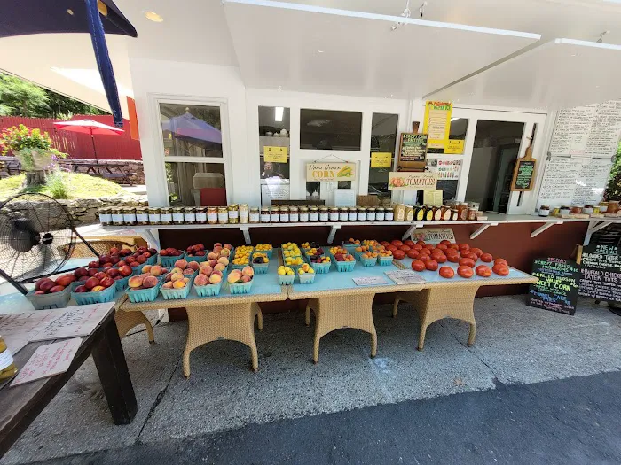 Dog Daze Cafe Picture 6