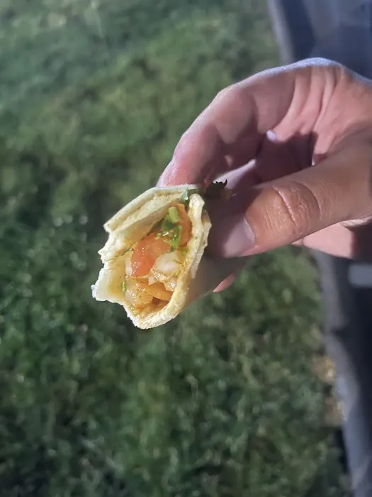 Taco Dillas Picture 5