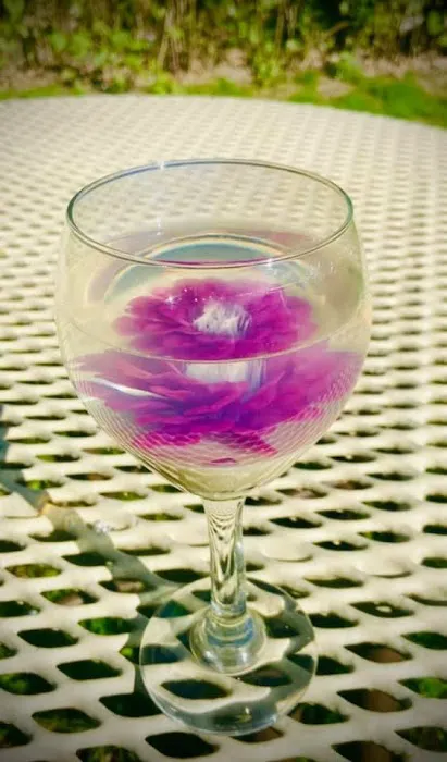 Herbalife Nutritional Corner Picture 2