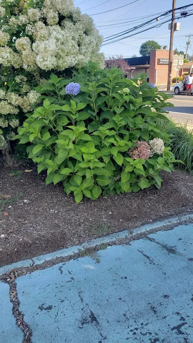 La Antigua Restaurant & Bakery Picture 10