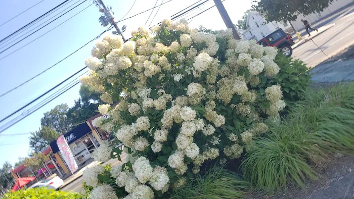 La Antigua Restaurant & Bakery Picture 6