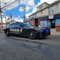 Medusa sport bar ico