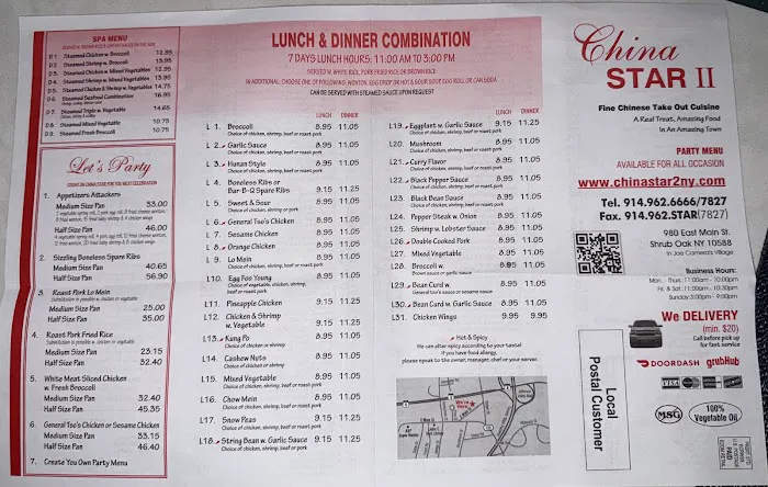 China Star II Picture 7