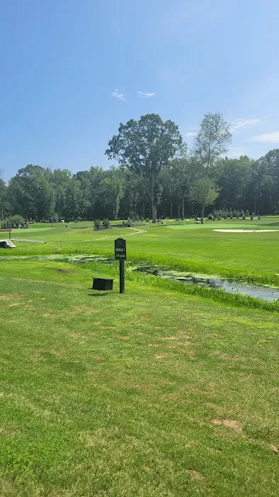 Tee Bar & Grille Picture 9