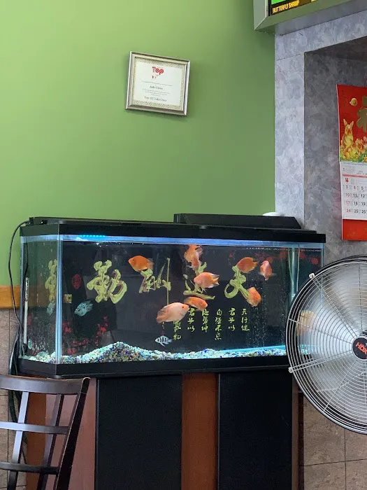 Jade China Picture 7