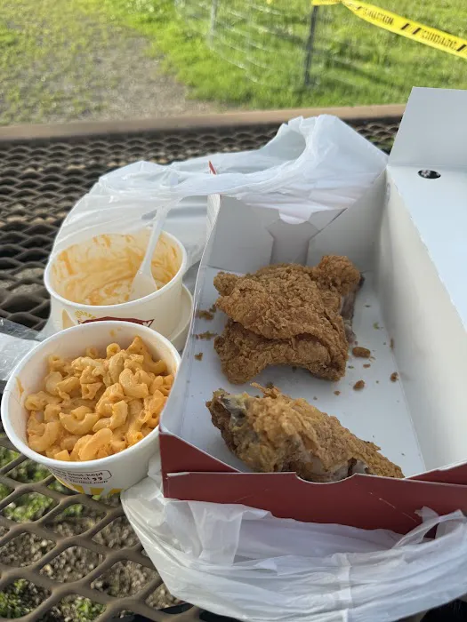 Krispy Krunchy Chicken Picture 1