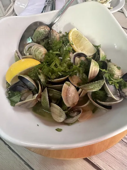 Allegro Seafood Grill Picture 2