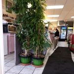 Chris's Family Diner