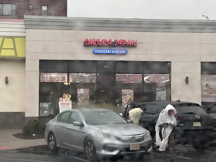 SAKURA JAPAN Picture 7