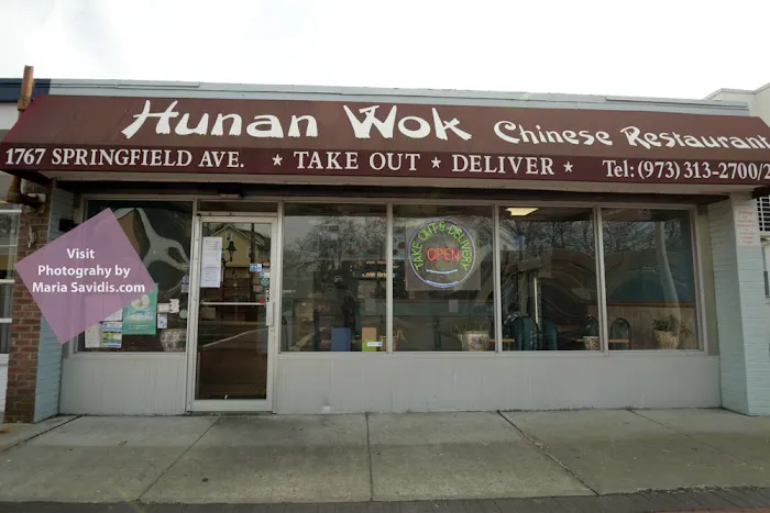 Hunan Wok Picture 4