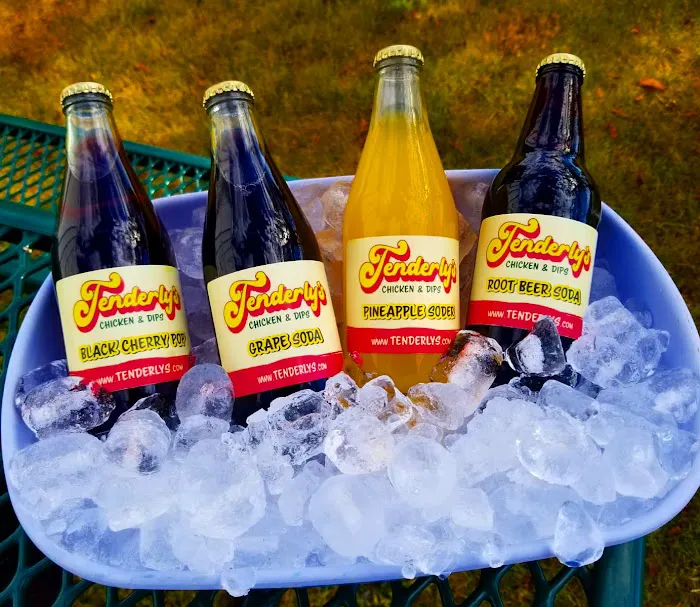 Tenderly's Chicken & Dips Picture 2