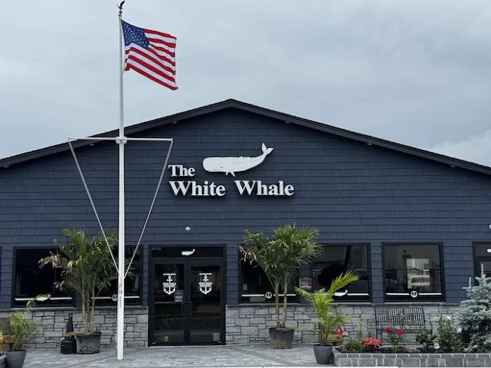 The White Whale Picture 8