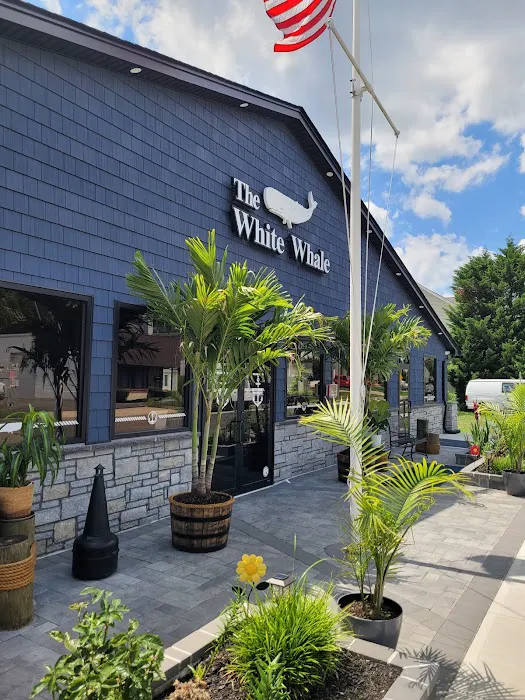 The White Whale Picture 9