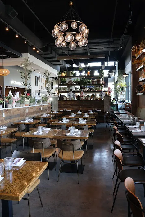 Angelina's Kitchen, Bar and Restaurant Picture 10