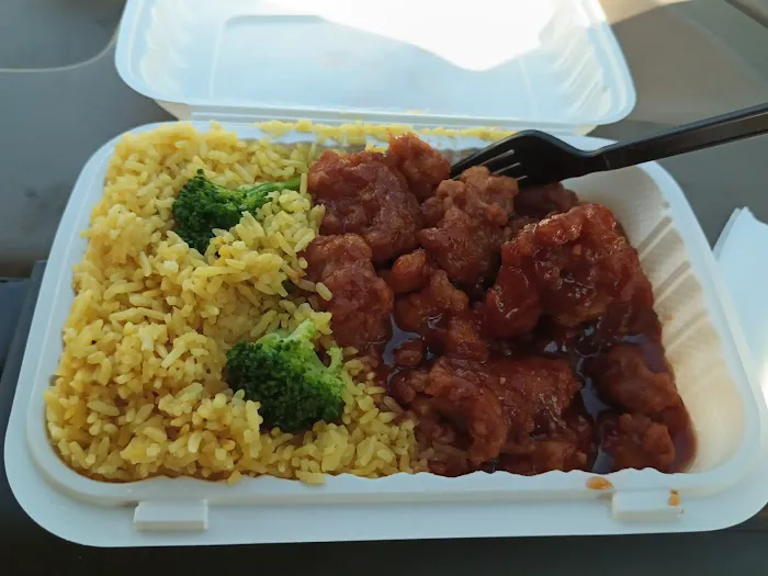 Sky Dragon Picture 2