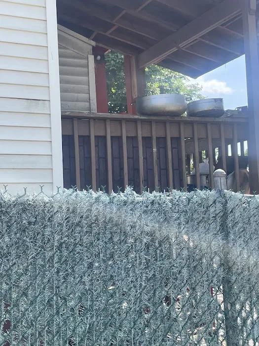 Con Yapa - Restaurant Peruana Picture 10