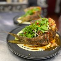 An Artistic Taste ico