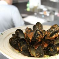 Cibo e Vino Ristorante ico