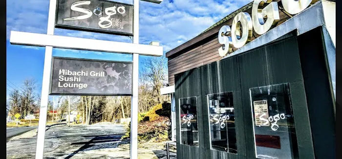 Sogo Hibachi Grill Picture 3